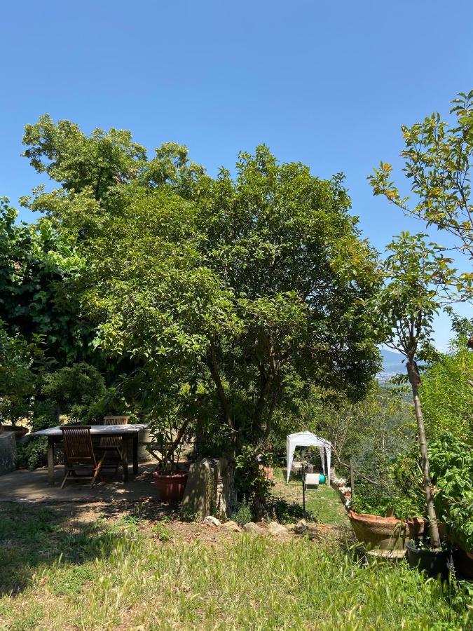 B&B La Rocca Carmignano Exterior photo