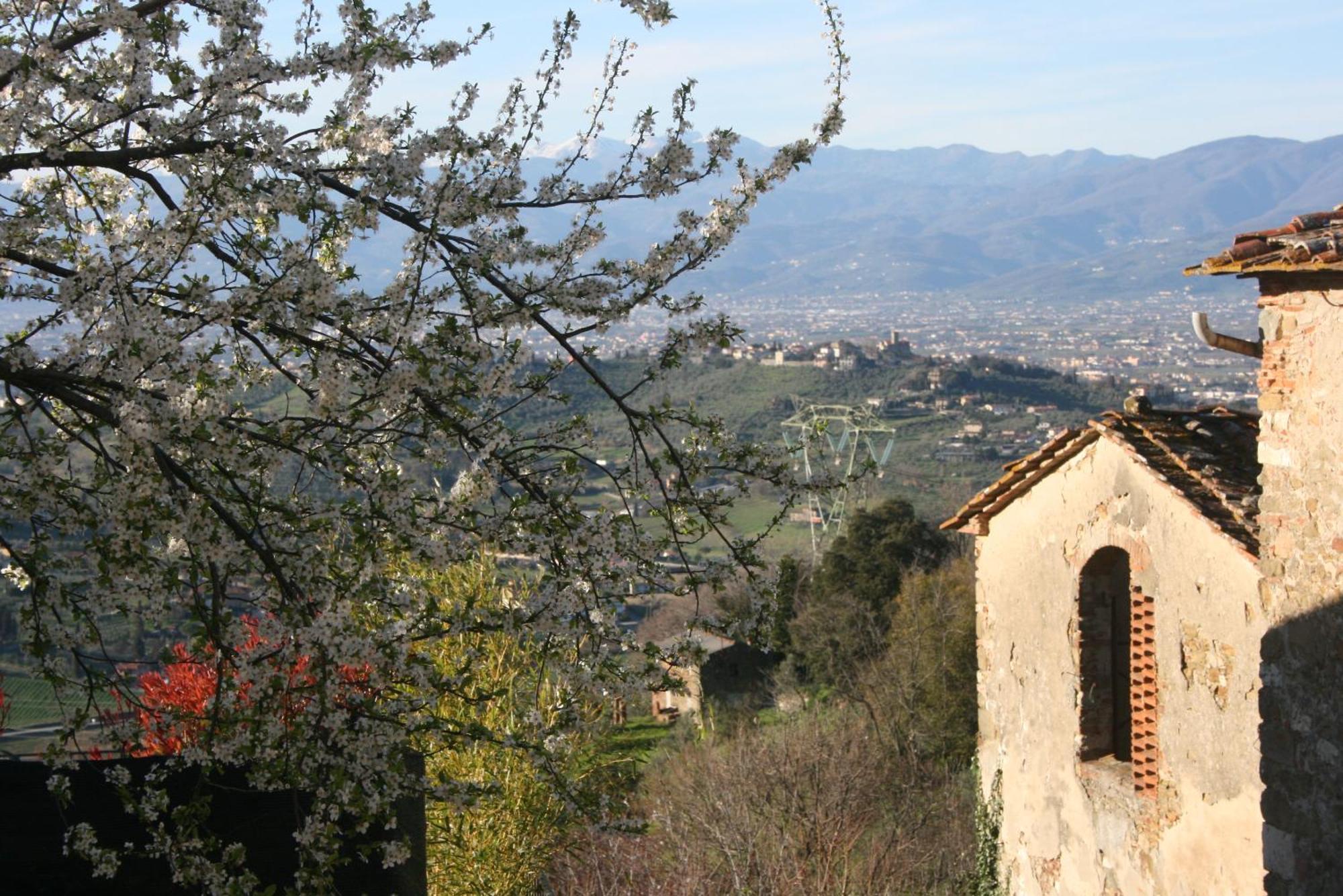 B&B La Rocca Carmignano Exterior photo